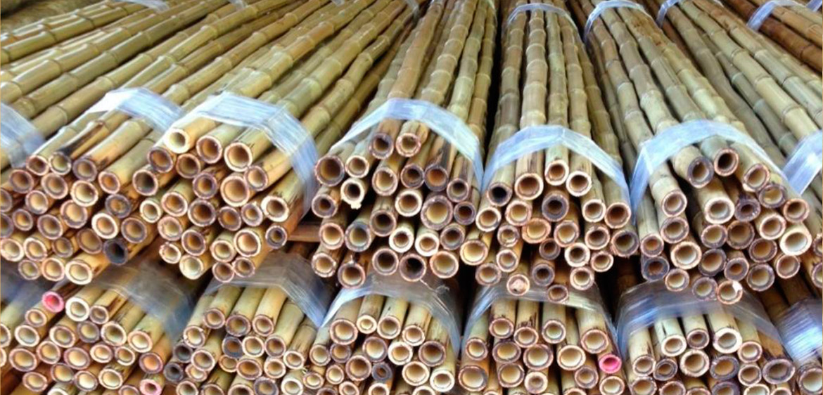 cañas de bambú