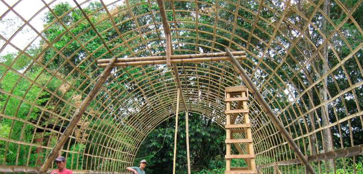 tiras de bambú - bamboo strips